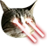 bearnielaserv2.png