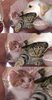 FB_IMG_1501018750203.jpg