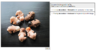 Decoration.PNG