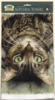 Screen Shot 2017-08-22 at 10.16.33 PM.png