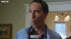 PortlyFalseGrassspider-max-1mb.gif