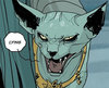 LyingCat.jpg