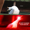 avatar.jpg