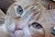 upload_2019-7-15_14-6-27.png