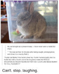 buntastic.jpg