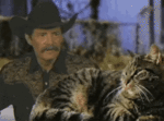 not cool.gif