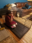 upload_2019-10-4_0-12-28.png