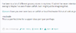 upload_2019-11-26_18-7-18.png