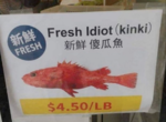 Fresh Idiot.png