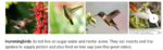 upload_2020-4-24_9-6-1.png