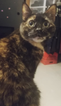 Margo.png