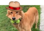 DogButthat.jpg