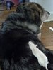 IMG_20171011_145106.jpg