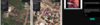 Screenshot (240).png