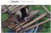 Screen Shot 2017-10-24 at 11.16.44 AM.png