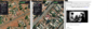Screenshot (420).png