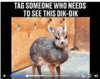 upload_2017-11-4_11-55-16.png