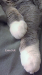 extra soft.png