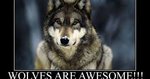 upload_2020-9-23_14-52-45.jpeg