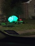 20201027_200742.jpg