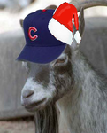 goat9.png