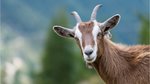 _98677794_gettyimages-486869012.jpg