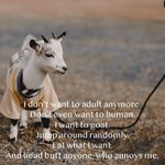 FB_IMG_1610115135604.jpg