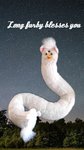long furby.jpg