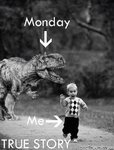 Monday-Memes-Images-25.jpg