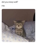342725ca4ba3c1b688c2e170b3d4ffa2.jpg