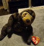 sloth.jpg