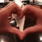 cat-love.gif