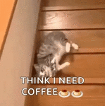 33d02339cf3e29dbc023440ba22c6126.gif