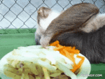 ezgif.com-gif-maker.gif