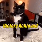 ezgif.com-gif-maker.gif