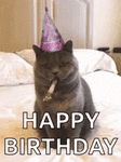 happy-birthday-cat.gif