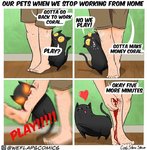 funny-cat-comics-weflaps-cody-stone-stowe-18-5fbe31d78fdc8__700.jpg