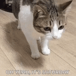 ezgif.com-gif-maker.gif