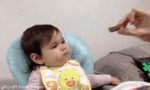 giphy.gif