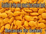 50c912a1ad5c5.jpg