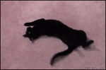 d73c708172a637c742a51bdd98b7f2f9.gif