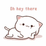 oh-hey-oh-hey-there.gif