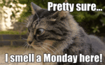 tumblr_7782ebc6350dba54c3ed58f61fc9eff2_8cf7f7cc_400.gif
