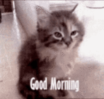 nap-time.gif