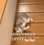 coffee-good-morning.gif