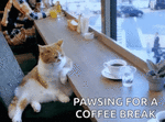 ezgif.com-gif-maker (3).gif