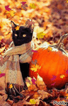 e833e130429d04ae2fb50d267de8201e.gif