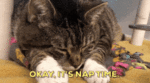ezgif.com-gif-maker.gif