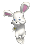 0359a7994e0dff219d7fd83007f88bd1.gif