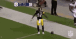 steelers-go.gif